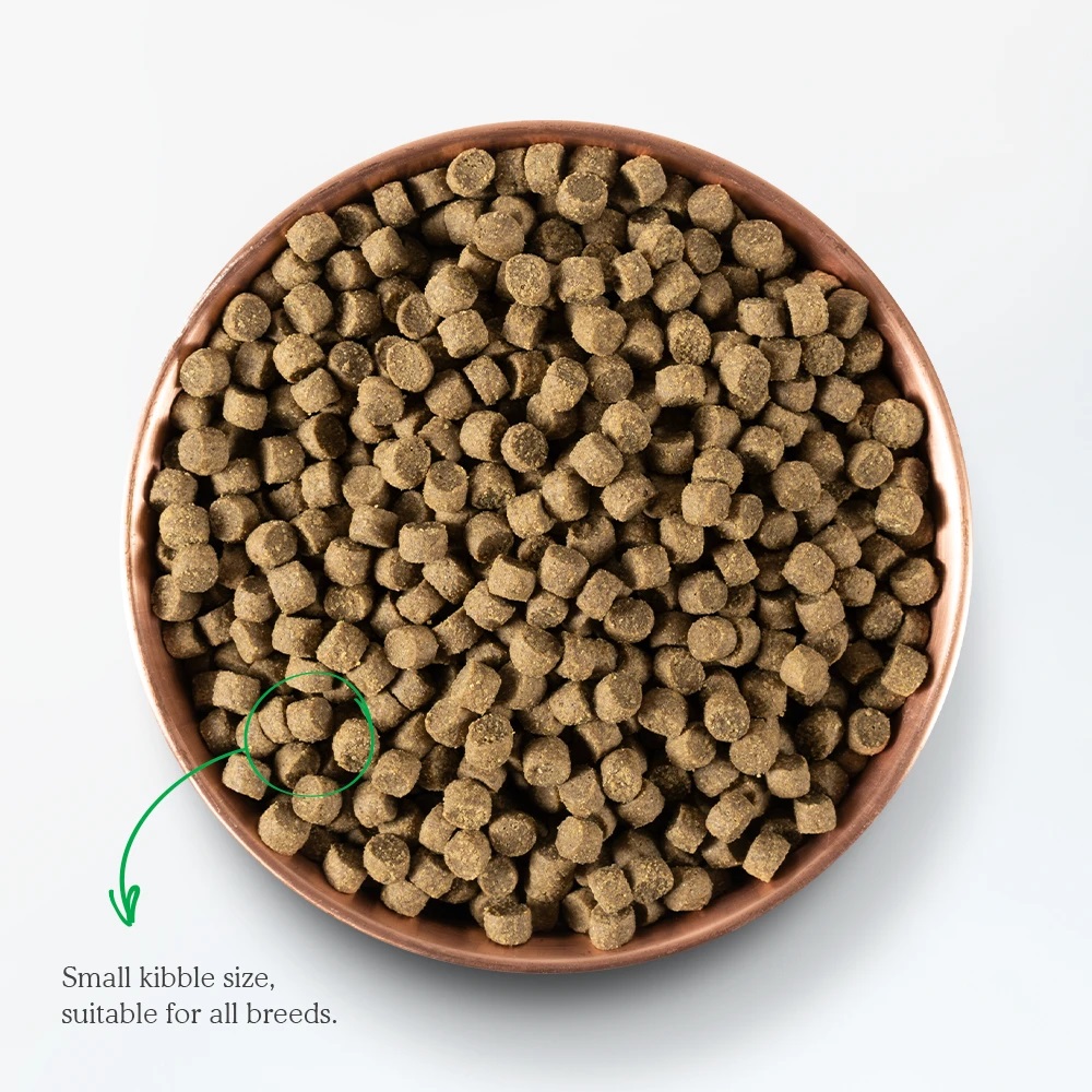 Open Farm [OFPR-4.5D]- 無穀物豚肉蔬菜配方狗糧4.5lb