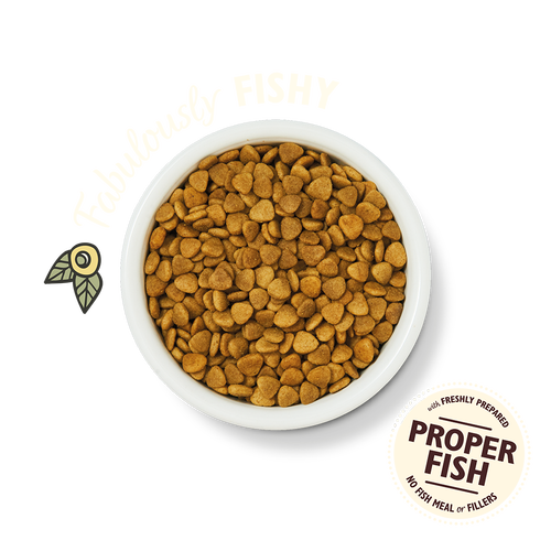 Lily's Kitchen [CDFF2KG] 無穀物鮮味魚肉餐 貓乾糧 2KG