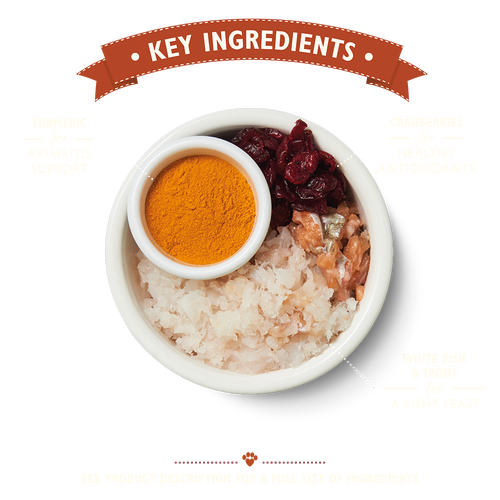 Lily's Kitchen [CDMM84] 無穀物鮮魚 老貓專用餐 貓乾糧 800g