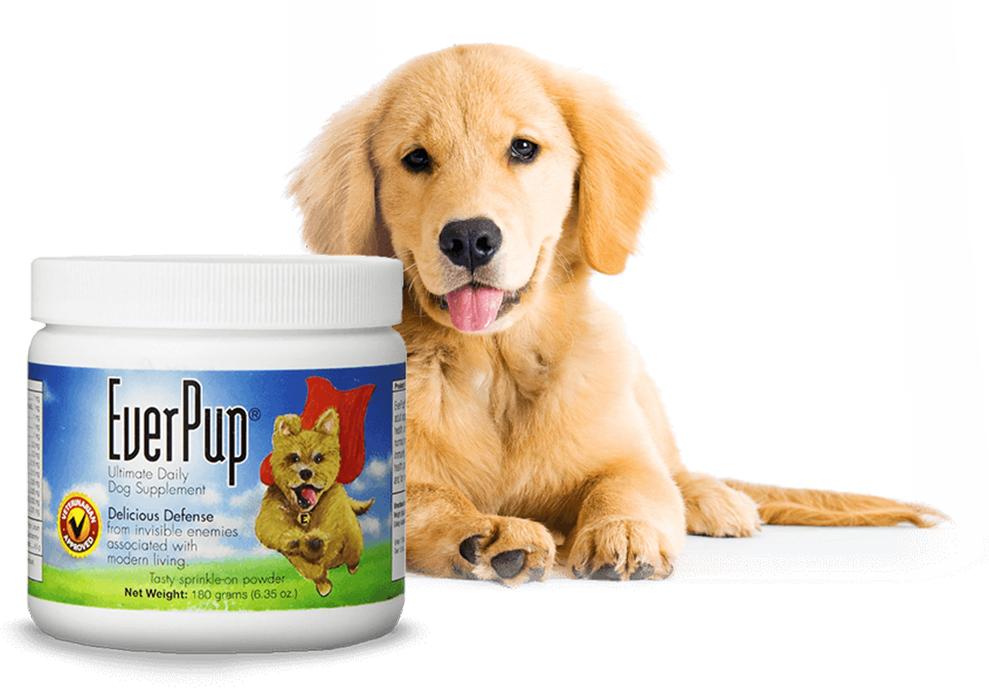 EverPup 全方位天然補充營養粉180g