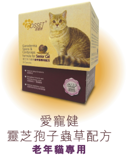 Cosset愛寵健 CS0003A - 貓貓專用靈芝、蟲草配方 (30粒膠囊盒裝)