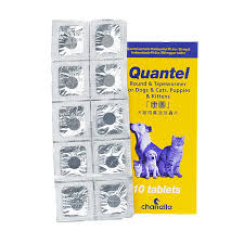 Quantel 康圖 貓狗寵物用廣效杜蟲藥 1粒