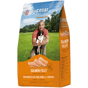 Cesar Millan Puppy 幼犬-三文鱼配方 06kg