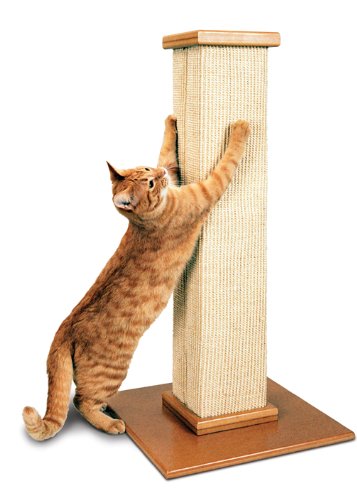 Pioneer Pet SmartCat The Ultimate Scratching Post 豪華座地貓爪榭