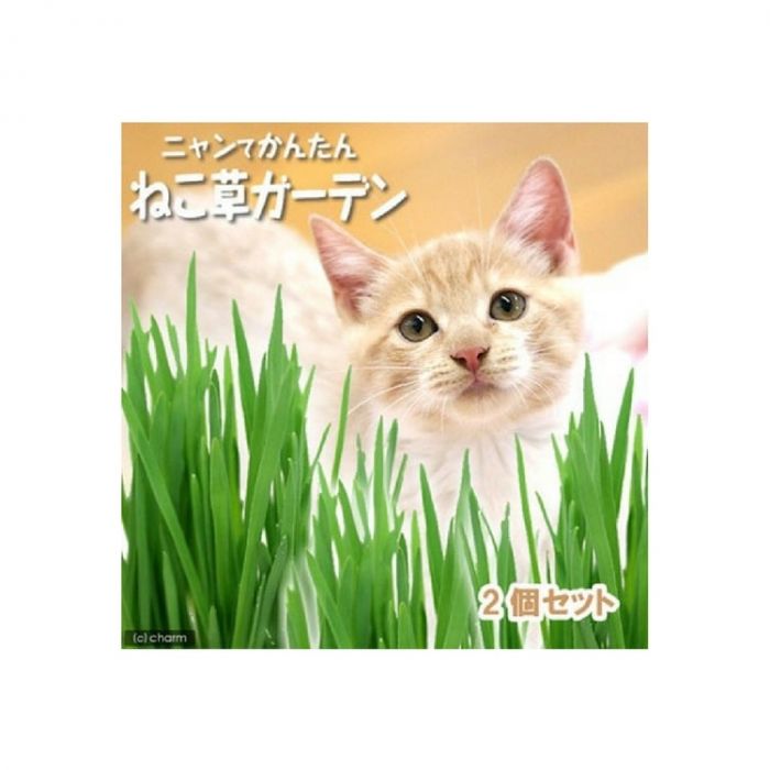 Cattyman -84107 鮮貓草 (貓の生野菜 2份裝)