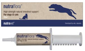 Nutravet BNutraflora 強效腸道保健 20ML