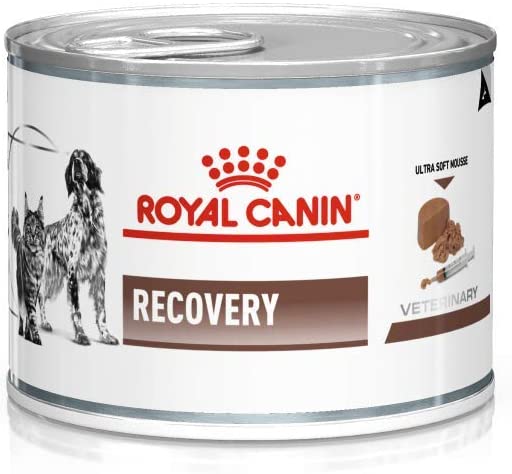Royal Canin - Recovery 獸醫配方 *貓犬用*康復支援 罐頭-195g x 12 [2881300]