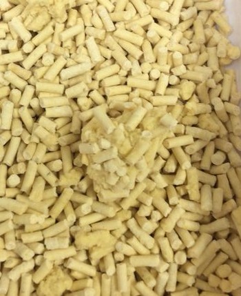 黃金馬鈴薯凝結砂(綠茶葉味)- 9.5L x 5包