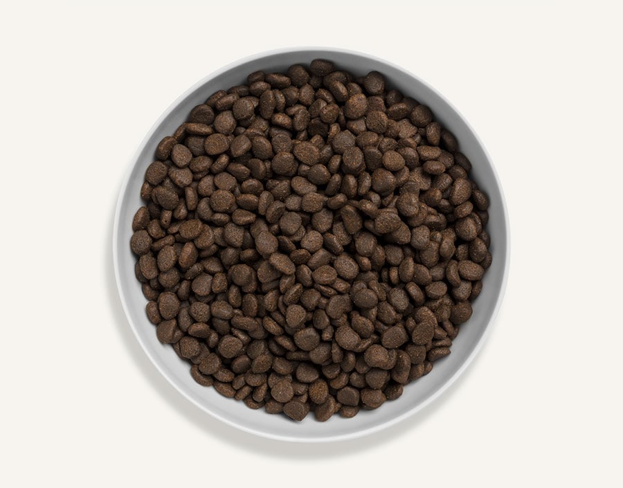 Canagan [ZS4] - Scottish Salmon 原之選 無穀物三文魚 (全貓糧) 4kg