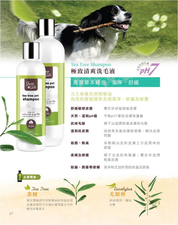 Divine pets -Tea Tree Shampoo 極致清爽洗毛液 500ml