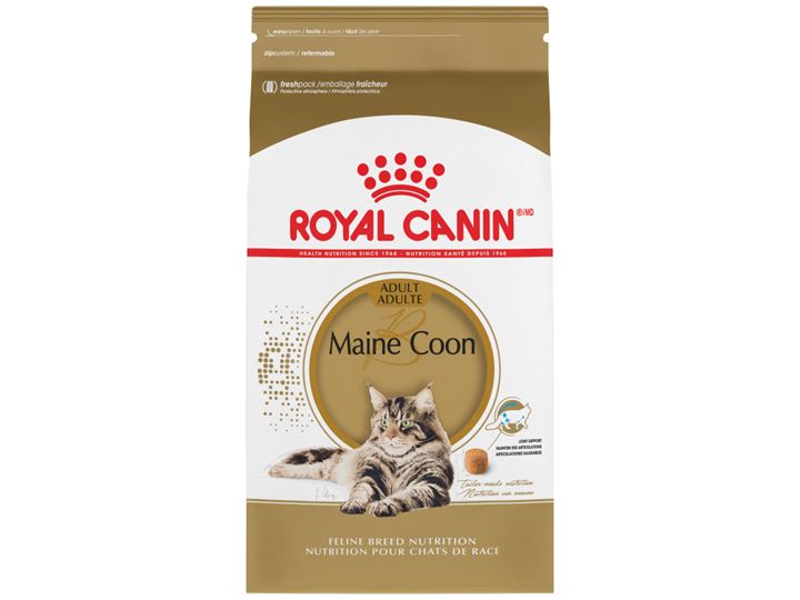 Royal Canin 2348300 Maine coon 緬因貓配方貓糧-10kg