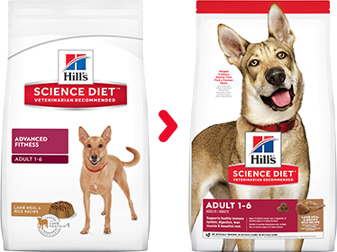 Hill's -2036 成犬 標準粒(羊飯)狗糧 33lb