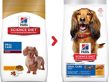 Hills -9281 成犬 口腔護理專用配方 狗糧 4lb