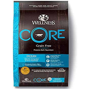 WELLNESS CORE 88413 - 無穀物海洋魚類配方狗糧 12磅